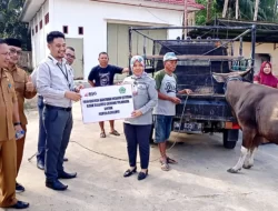 BSG Tilamuta Kembali Serahkan Hewan Qurban ke Pemkab Boalemo