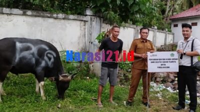 BSG Cabang Tilamuta Serahkan Sapi Qurban ke Pemda Boalemo