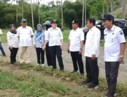 Sherman Moridu Tinjau Lokasi Penanaman Padi Gogo